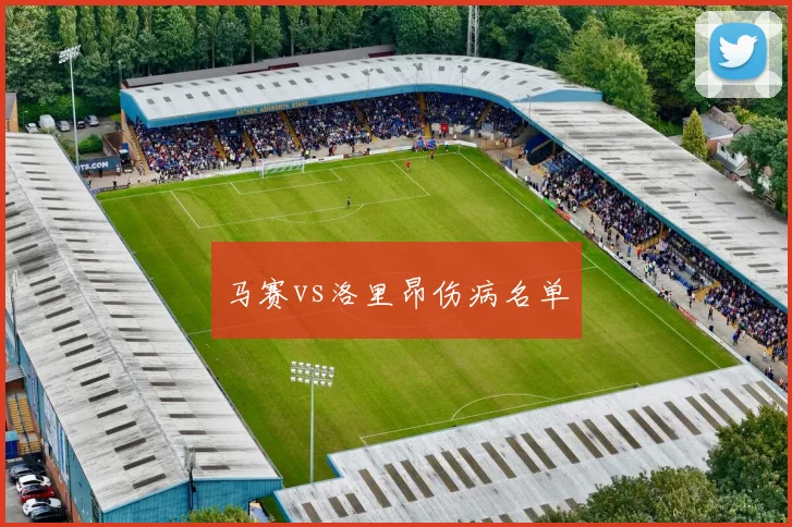 马赛vs洛里昂伤病名单