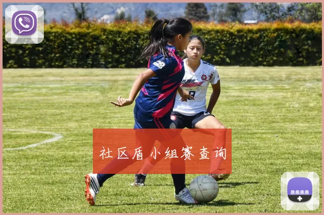 社区盾小组赛查询