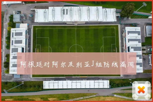 阿根廷对阿尔及利亚J组防线漏洞