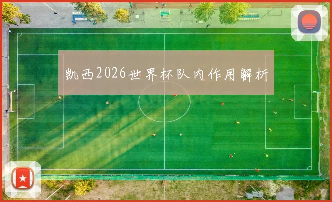 凯西2026世界杯队内作用解析