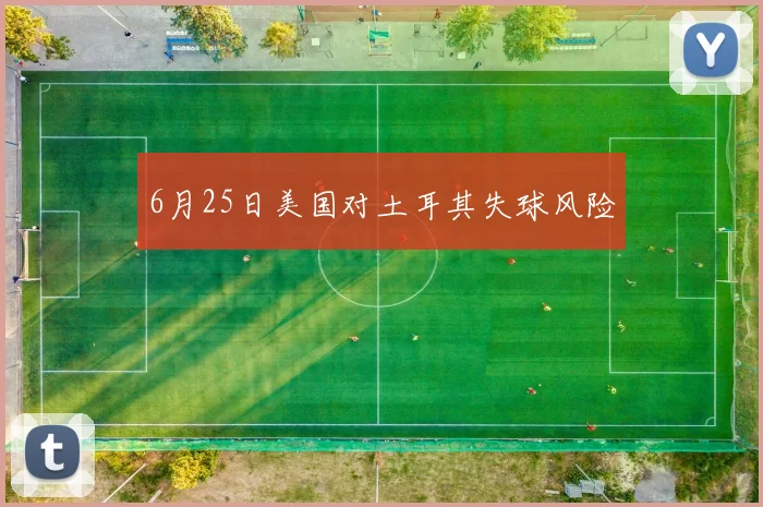 6月25日美国对土耳其失球风险
